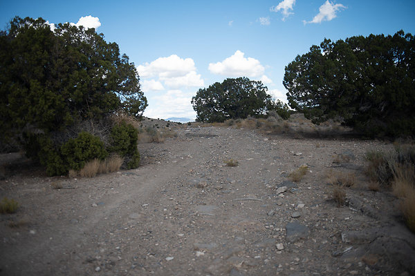 Scout-2243 Scout-2243