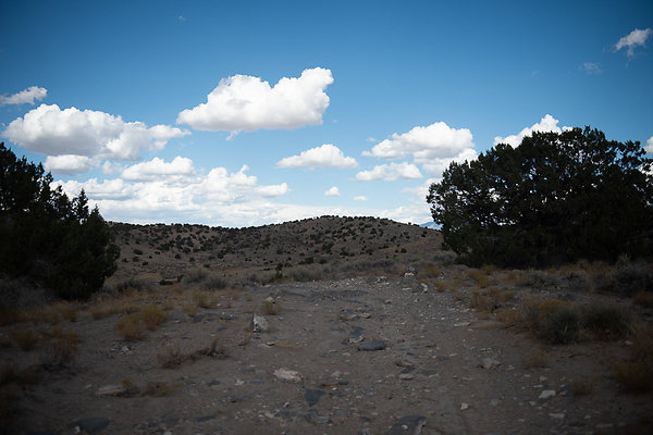 Scout-2244 Scout-2244