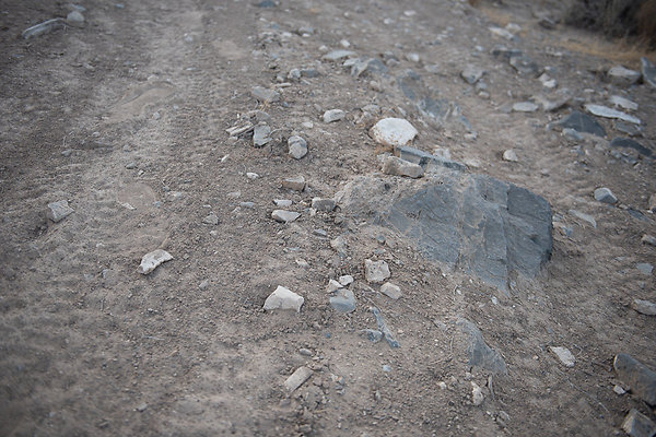 Scout-2250 Scout-2250