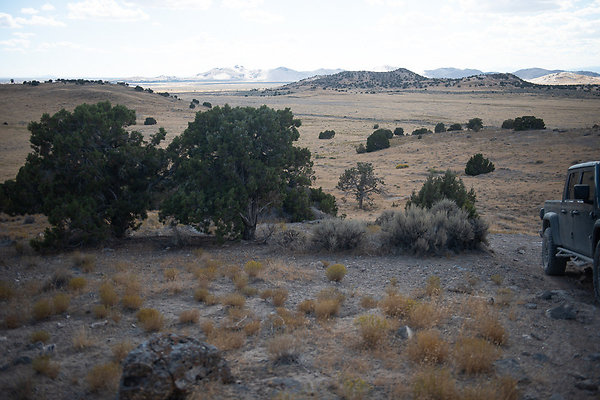 Scout-2213 Scout-2213