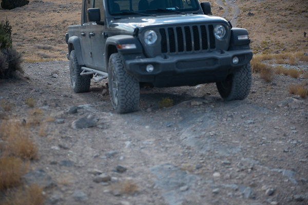 Scout-2217 Scout-2217