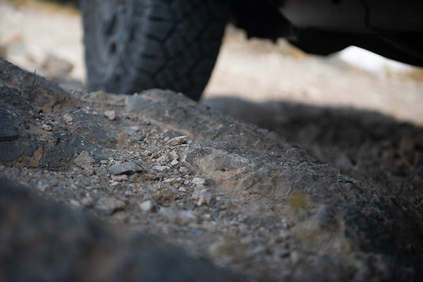 Scout-2211 Scout-2211