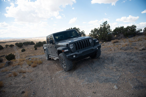 Scout-2226 Scout-2226