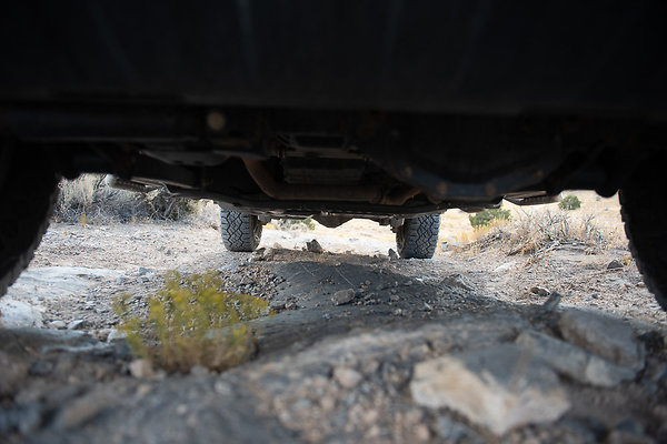 Scout-2219 Scout-2219