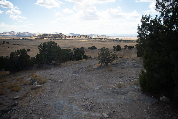 Scout-2230 Scout-2230