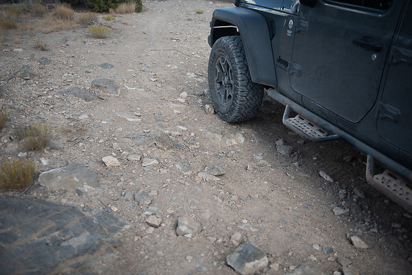 Scout-2237 Scout-2237