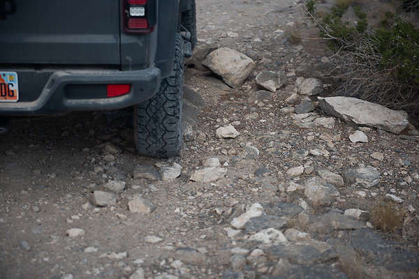 Scout-2232 Scout-2232