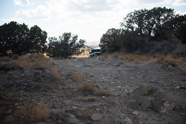 Scout-2247 Scout-2247