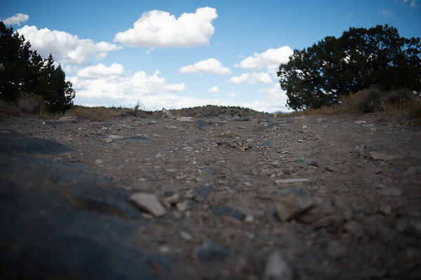 Scout-2245 Scout-2245