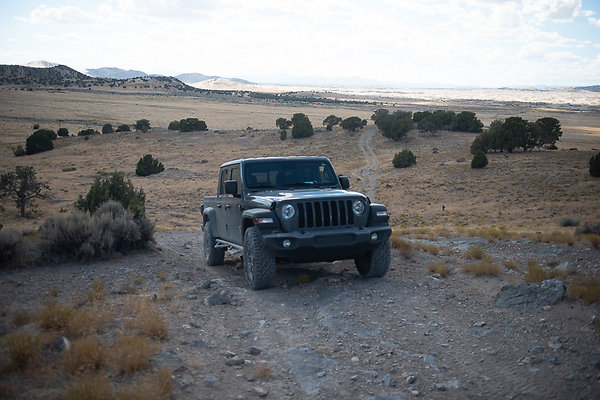 Scout-2214 Scout-2214