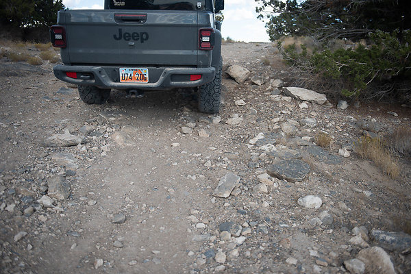 Scout-2231 Scout-2231