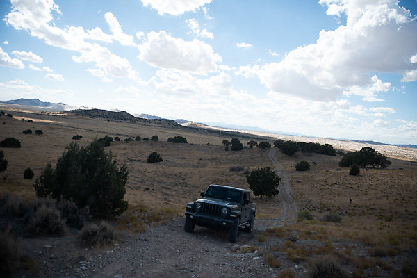 Scout-2204 Scout-2204