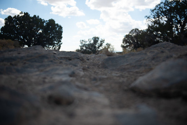 Scout-2253 Scout-2253