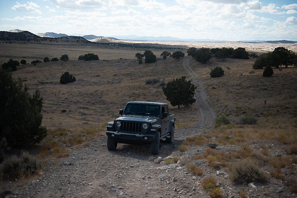 Scout-2202 Scout-2202