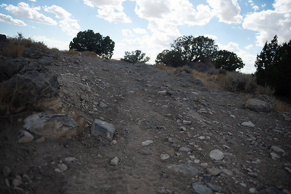 Scout-2252 Scout-2252