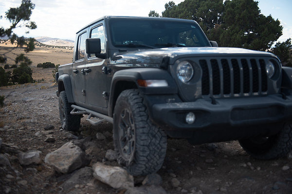 Scout-2239 Scout-2239