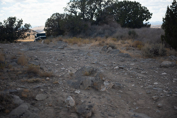 Scout-2246 Scout-2246