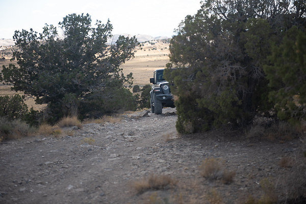 Scout-2254 Scout-2254