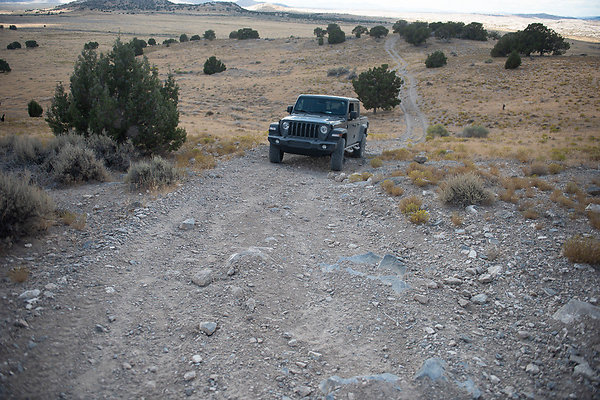 Scout-2205 Scout-2205