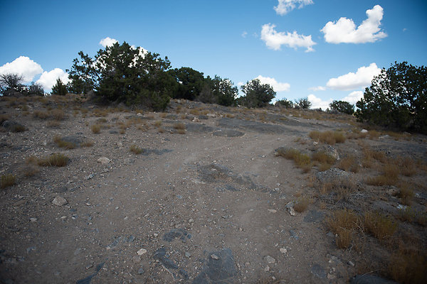 Scout-2220 Scout-2220