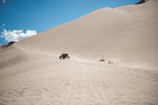 Scout-2117 Scout-2117