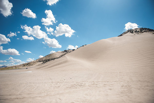 Scout-2087 Scout-2087