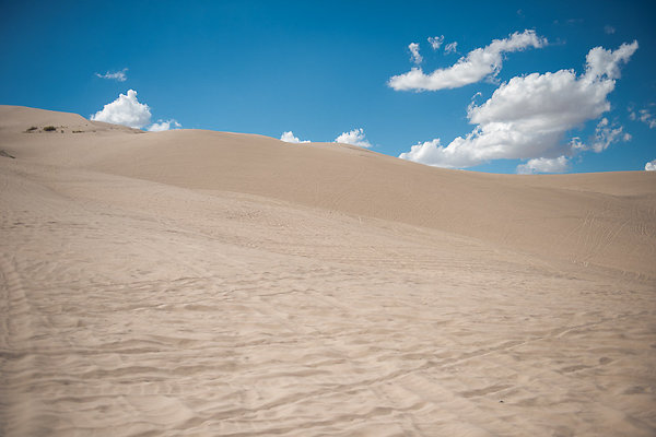 Scout-2133 Scout-2133