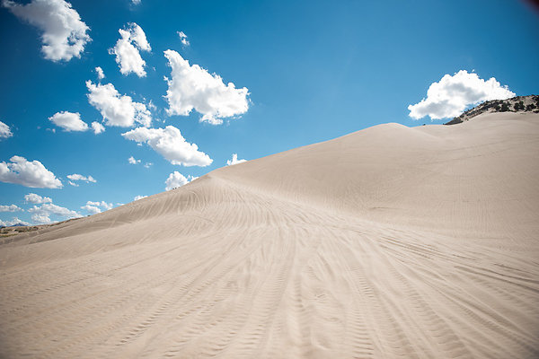 Scout-2097 Scout-2097