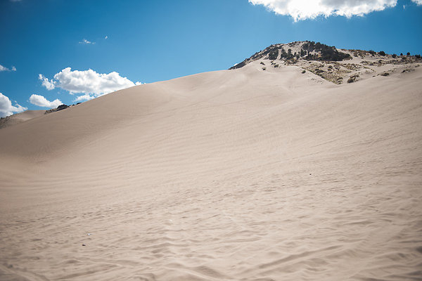 Scout-2131 Scout-2131