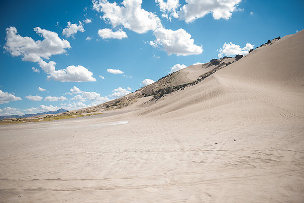 Scout-2083 Scout-2083