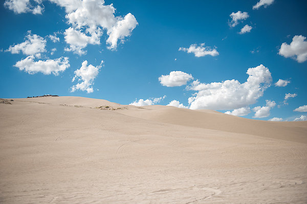 Scout-2089 Scout-2089