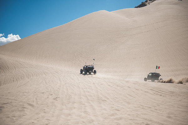 Scout-2116 Scout-2116