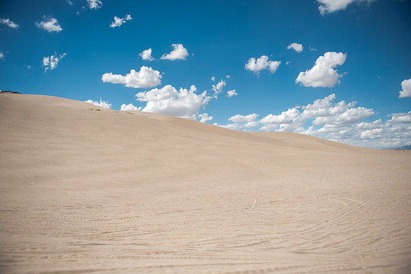 Scout-2098 Scout-2098