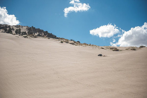 Scout-2093 Scout-2093