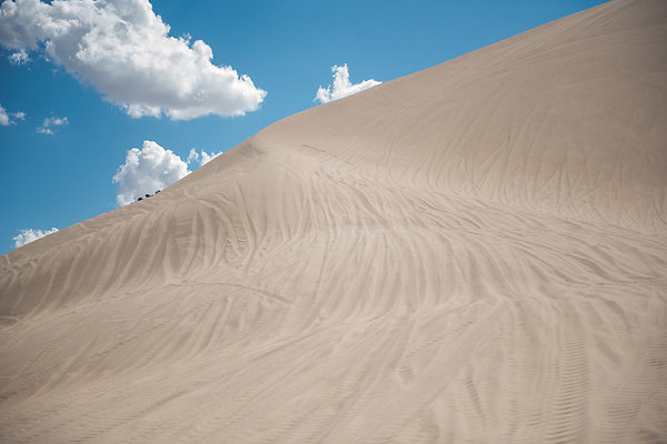 Scout-2095 Scout-2095