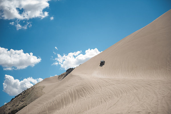 Scout-2120 Scout-2120