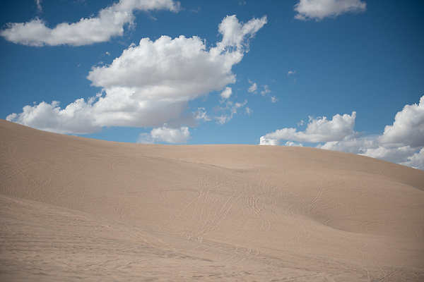 Scout-2136 Scout-2136