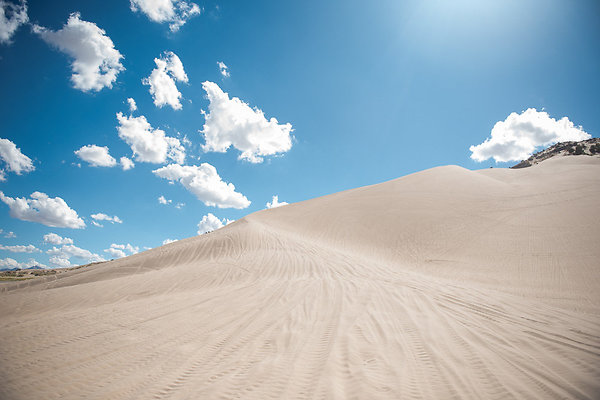 Scout-2096 Scout-2096