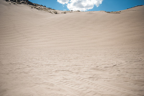 Scout-2085 Scout-2085