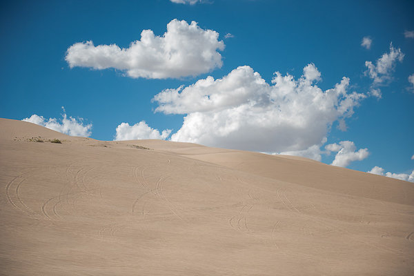 Scout-2100 Scout-2100