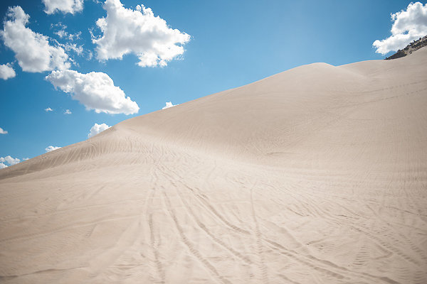 Scout-2090 Scout-2090