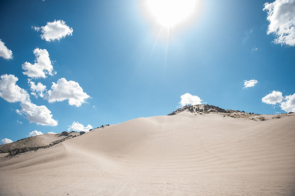 Scout-2086 Scout-2086