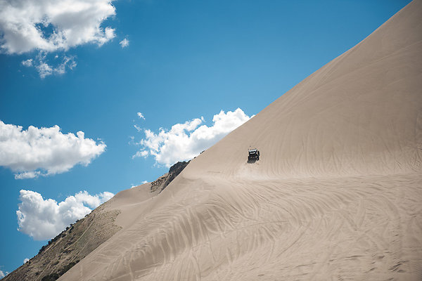 Scout-2119 Scout-2119