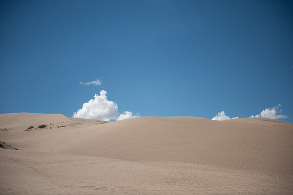 Scout-2137 Scout-2137