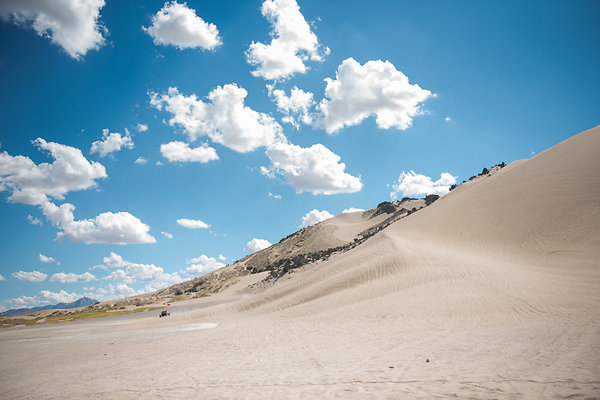 Scout-2088 Scout-2088