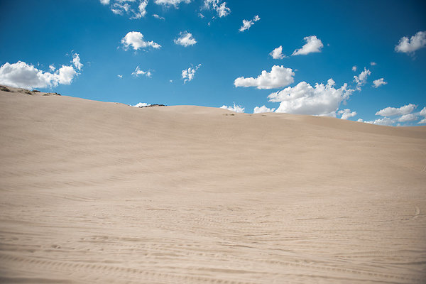 Scout-2099 Scout-2099