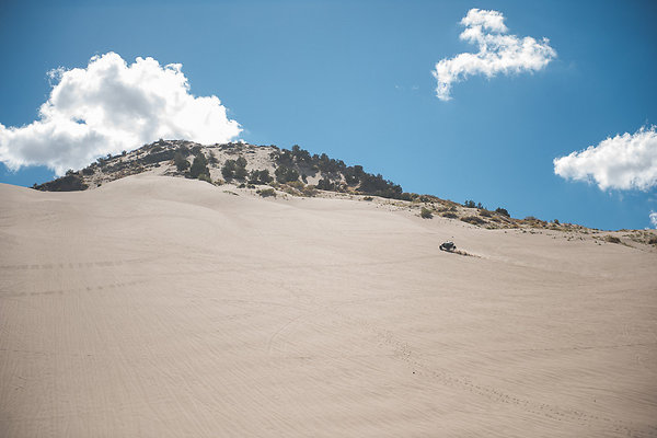 Scout-2094 Scout-2094