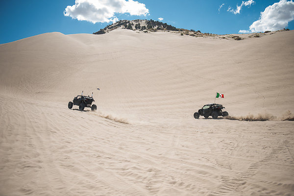 Scout-2115 Scout-2115