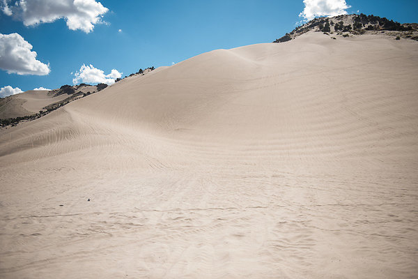 Scout-2084 Scout-2084