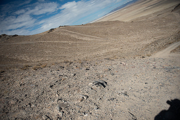 Scout-1571 Scout-1571